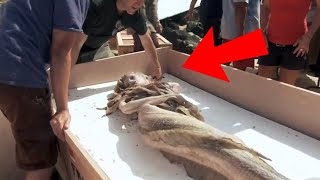 10 REAL LIFE MERMAIDS Caught On Camera [upl. by Bolen]