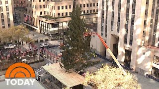 Rockefeller Christmas Tree 2020 Watch A TimeLapse Video  TODAY [upl. by Eiralih]