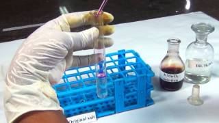 Chemical Tests for Oxalate  MeitY OLabs [upl. by Lancelle320]