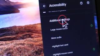 How to Change your Mouse Cursor on a Dell Chromebook [upl. by Cordier29]