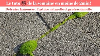 Comment enlever la mousse  5 astuces  un produit écologique [upl. by Veriee]