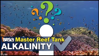 New concept in reef tank Alkalinity How it works amp how to gain 70 or more coral growth [upl. by Chellman]