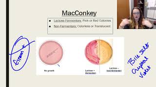 Laboratory tests media and techniques [upl. by Bittner]