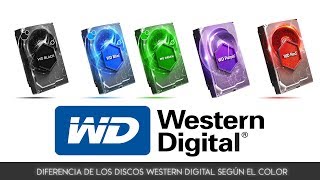 DIFERENCIA DE LOS DISCOS WESTERN DIGITAL SEGÚN EL COLOR [upl. by Xavier]