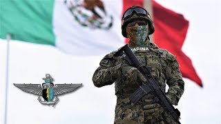 ¿Cómo es la Vida de los FES Fuerzas Especiales de México [upl. by Libre]