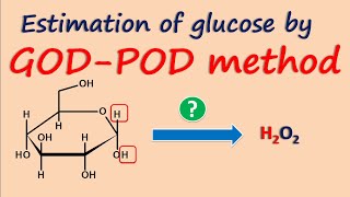 GODPOD method for estimation of glucose [upl. by Juna]