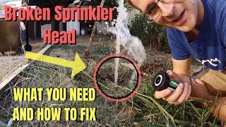 Broken Sprinkler Head  RainBird  What You Need And How To Fix [upl. by Frangos103]