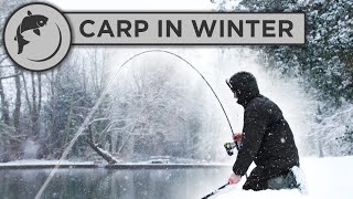 CATCH MORE CARP in WINTER with these 5 tips [upl. by Aracahs]