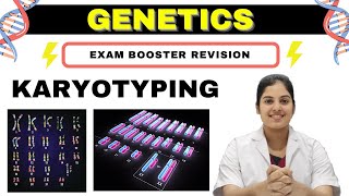 GENETICS  Karyotyping  Basics Procedure amp Application  MedSeed MBBS [upl. by Piotr]