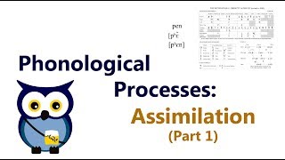 Phonological Processes Assimilation Part 1 [upl. by Neeleuqcaj]