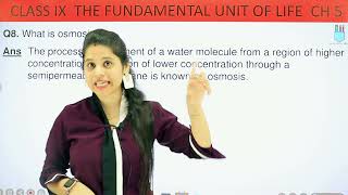 Back Exercise  Chapter 5  The Fundamental Unit Of Life  Class 9 Science [upl. by Nylave236]