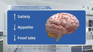 GLP1 New Drug RampD Service Physiological Actions of GLP 1s [upl. by Sacttler]