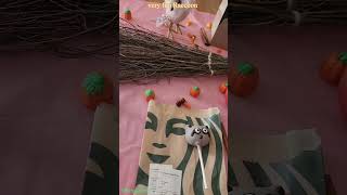 Starbucks Raccoon Cake Pop Review [upl. by Acirrej]