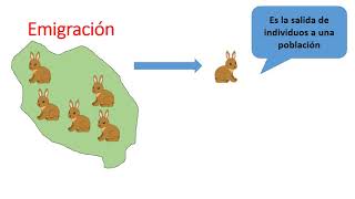 Características de las poblaciones [upl. by Htiekel698]