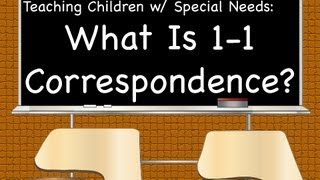 One To One Correspondence Special Needs Tips amp Tricks [upl. by Thordis221]