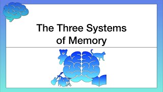 The Three Systems of Memory [upl. by Warrenne940]