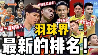 2024年11月尾最新排名！男单前8李梓嘉风险！梁峻豪日本赛后转运排名？戴资颖陈雨菲为何申请排名保护？混双换老大！大马6男双大赛机会！各项前5是谁？2分钟懒人包！ [upl. by Pattison]