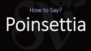 How to Pronounce Poinsettia CORRECTLY [upl. by Eislel]