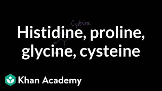 Special cases Histidine proline glycine cysteine  MCAT  Khan Academy [upl. by Orenid]