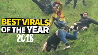 Top 50 Viral Videos Of The Month  Feb 2021 [upl. by Doug610]