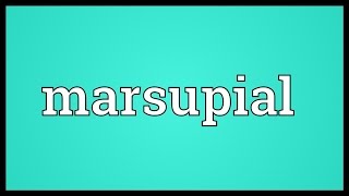 Marsupial Meaning [upl. by Cartan649]