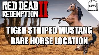 Rare Tiger Striped Mustang Location Red Dead Redemption 2 Horse Guide [upl. by Osnofedli]