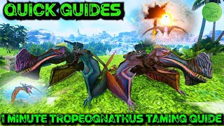 Ark Quick Guides  Tropeognathus  The 1 Minute Taming Guide 2020 [upl. by Anaytat]