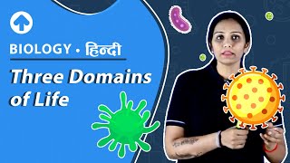 Three Domains of Life  Hindi  Biology [upl. by Oirretna863]