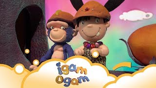 Igam Ogam Do it S2 E15  WikoKiko Kids TV [upl. by Marsh910]