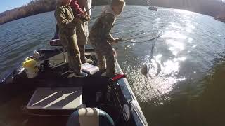 Crappie Fishing Lake Guntersville Alabama [upl. by Tareyn]