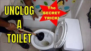 HOW TO UNCLOG A TOILET with a PLUNGER How to Use a Plunger Like a Champ [upl. by Irina]