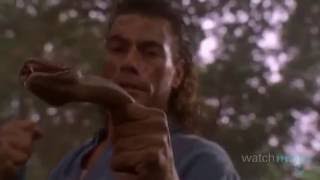 Top 10 JeanClaude Van Damme Moments [upl. by Rebmik]