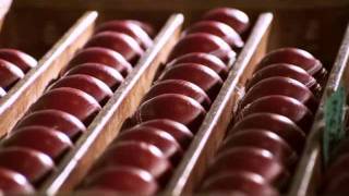 Kookaburra Cricket Ball Manufacture Video [upl. by Ehrlich196]