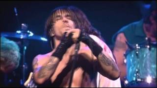 Red Hot Chili Peppers  Californication  Live at Olympia Paris [upl. by Body]