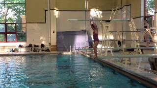 Teach a Flip for Springboard Diving [upl. by Schulz263]