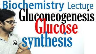 Gluconeogenesis pathway biochemistry [upl. by Amaerd]