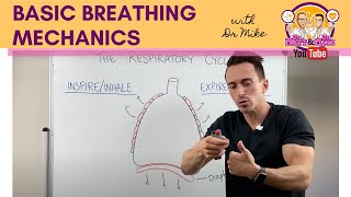 Basic Breathing Mechanics [upl. by Lebama542]