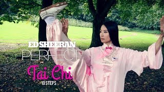 TAI CHI 10 STEPS FOR BEGINNERS [upl. by Jeminah]