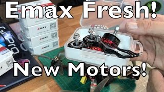 HorizonHobbycom HowTo Understanding RC Motor Technology [upl. by Davidde726]