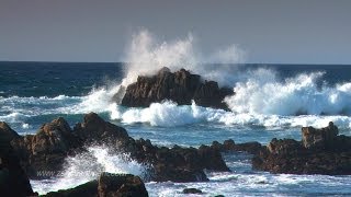 Zen Ocean Waves  Ocean Sounds Only NO MUSIC Aquatic Dream Therapy [upl. by Caswell]