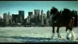 Budweiser 911 tribute commercial [upl. by Madden]