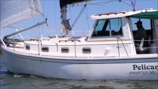 Sailing Cape Dory 30 Motorsailer SOLD Annapolis Fred Hallett light breeze nice cruising sailboat [upl. by Adiesirb]