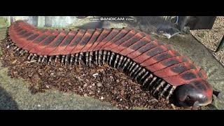 Arthropleura Sounds [upl. by Glynn]