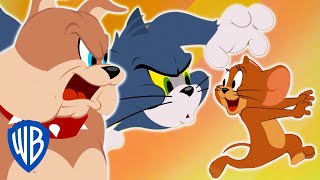 Tom and Jerry Classic Chase Scenes [upl. by Orin]