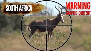 Hunting Blesbok with a 35 Caliber Airgun [upl. by Ecidnac]