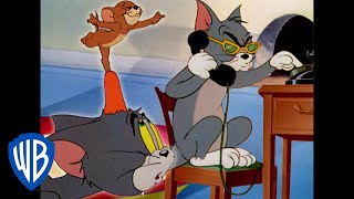 Tom amp Jerry  Your Award Nominated Cartoons Guide  Classic Cartoon Compilation  WB Kids [upl. by Nerrual]