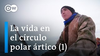 Una vuelta alrededor del Polo Norte  Parte 1  DW Documental [upl. by Beaston970]