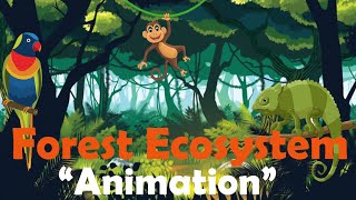 FOREST ECOSYSTEM  Biology Animation [upl. by Efram]