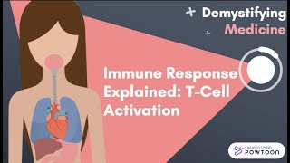 Immune Response Explained TCell Activation [upl. by Atekihc220]