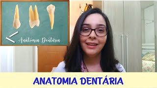 Anatomia Dental Aula de Introdução à Odontologia [upl. by Camm]